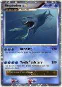 Megalodon