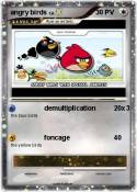 angry birds