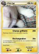 P'tit Cat