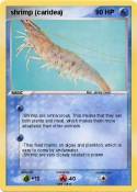 shrimp