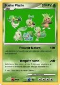 Starter Plante