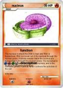 nucleus