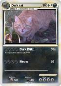 Dark cat
