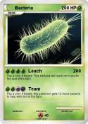 Bacteria