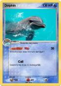 Dolphin