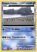 Penguin Colony