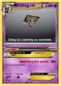 Ceiling cat