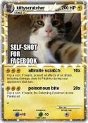 kittyscratcher