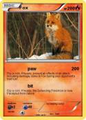 Fox