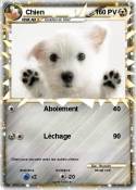 Chien