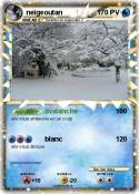neigeoutan