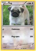 Pug