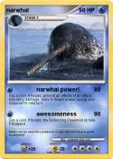 narwhal