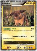 Rabbit