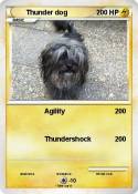Thunder dog
