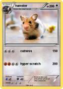 hamster