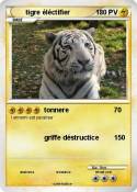 tigre