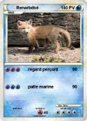 Renarbébé