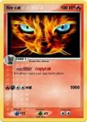 fire cat