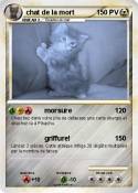 chat de la mort