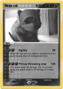 Ninja cat 9,999