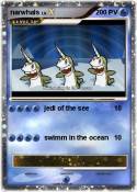 narwhals
