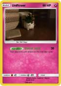 Uniflower
