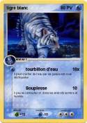 tigre blanc