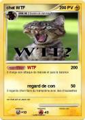 chat WTF