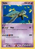 Turtle