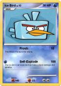 Ice Bird