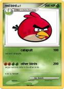 red bird