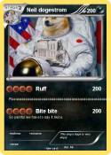 Neil dogestrom