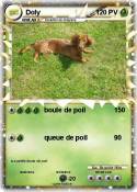 Doly