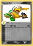 hammer bro