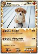 Pup