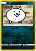 Mr cat Ex