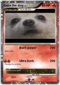 Gabe the dog