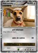 marmaduke