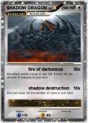 SHADOW DRAGON