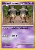 bullmastiff hum