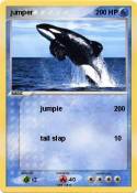jumper