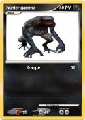 hunter gamma