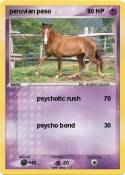 peruvian paso
