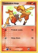 Combusken Ninja