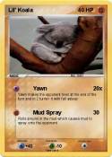 Lil' Koala