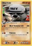 Obey Koala