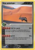 Oryx anterlope