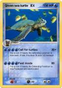 Green sea turtl
