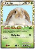 Mr. flufy